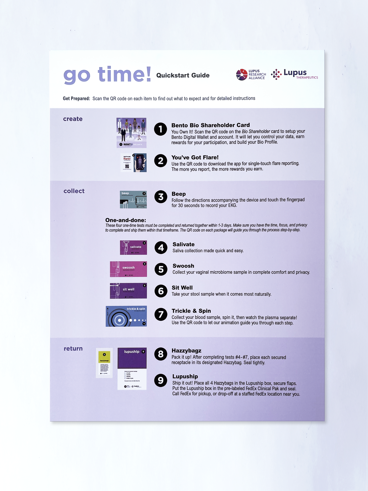 Large Bento Biology Box (Custom)